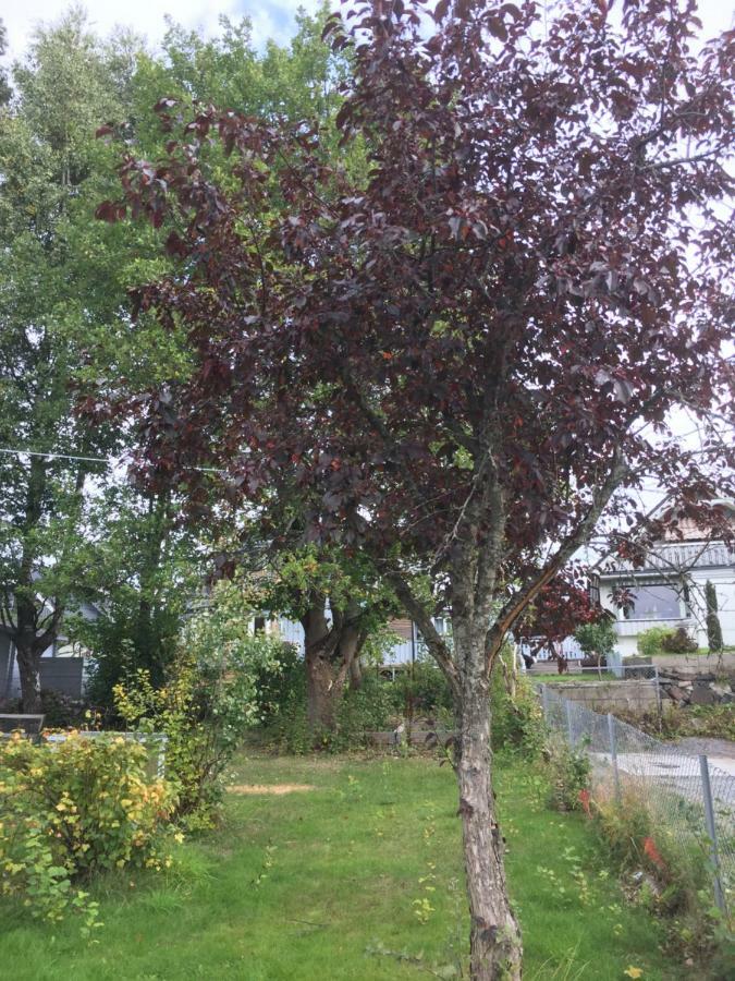 Skarer Veie 58 Lägenhet Lorenskog Exteriör bild